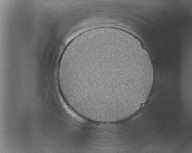 X0000076031526200610201814