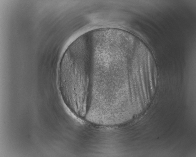 X0000076031528200610201814