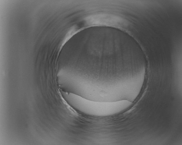 X0000076031529200610201814