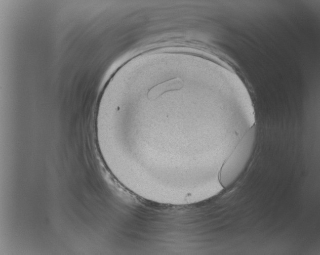 X0000076031530200610201814