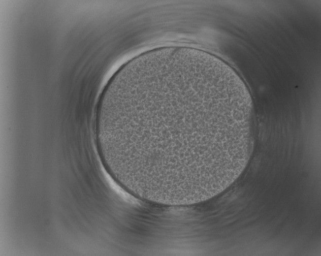 X0000076031531200610201814