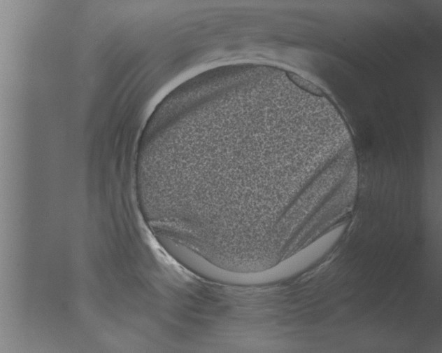 X0000076031534200610201814