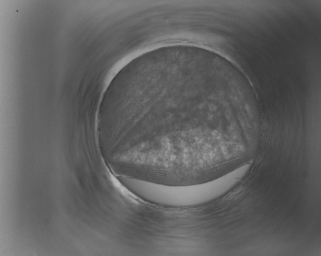 X0000076031535200610201814