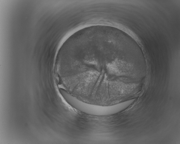 X0000076031536200610201814