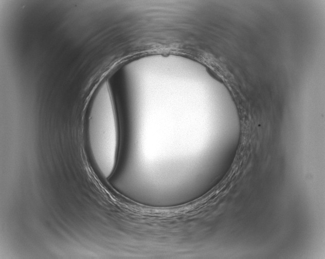 X0000076040002200609220930