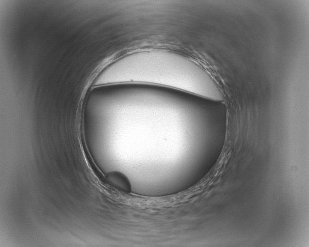 X0000076040003200609220930