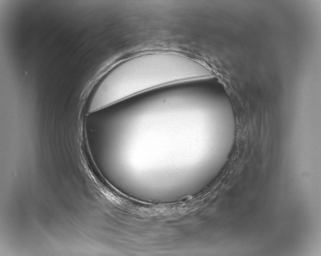 X0000076040005200609220930