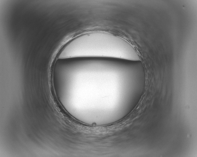 X0000076040006200609220930