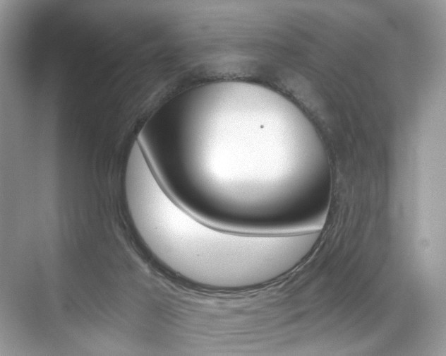 X0000076040021200609220930