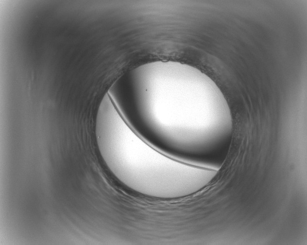 X0000076040040200609220930