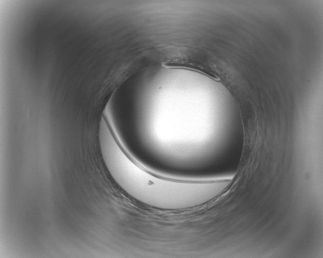 X0000076040041200609220930