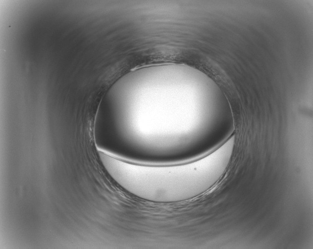 X0000076040045200609220930