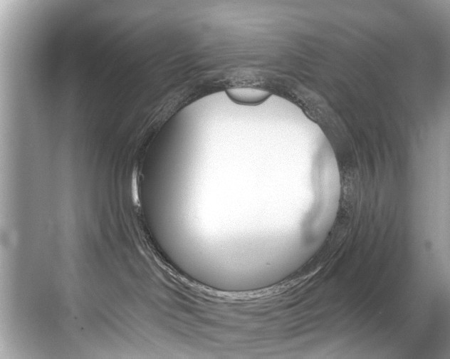 X0000076040046200609220930