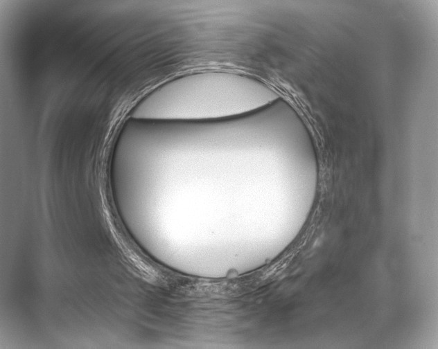 X0000076040049200609220929