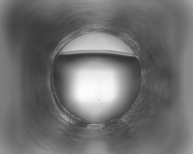 X0000076040051200609220929