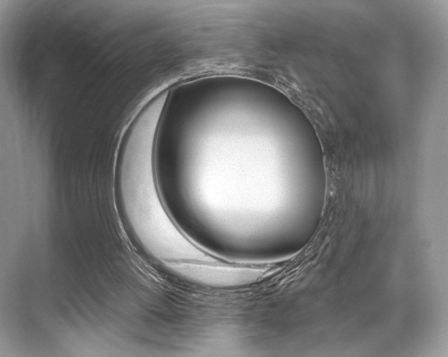 X0000076040052200609220929