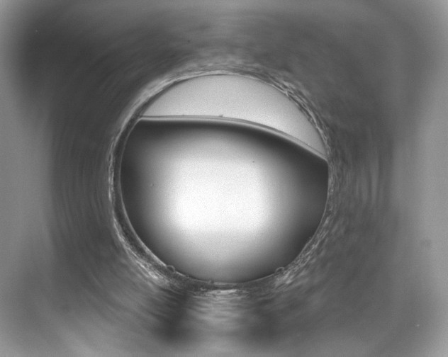 X0000076040054200609220929