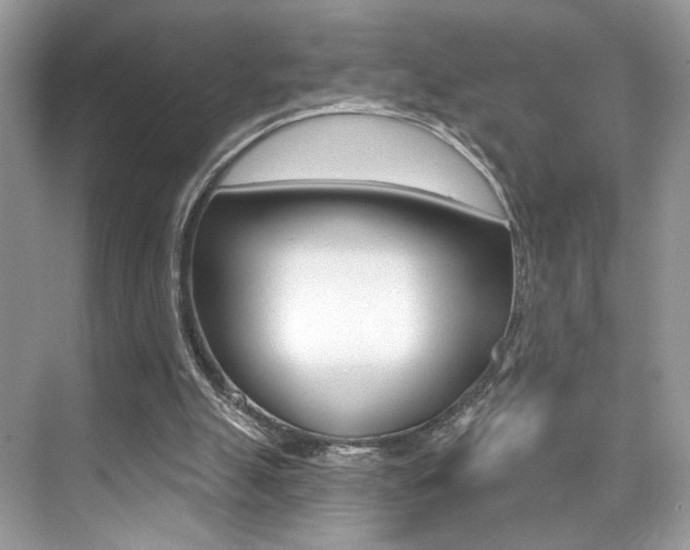 X0000076040055200609220929