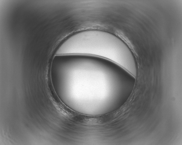 X0000076040058200609220929