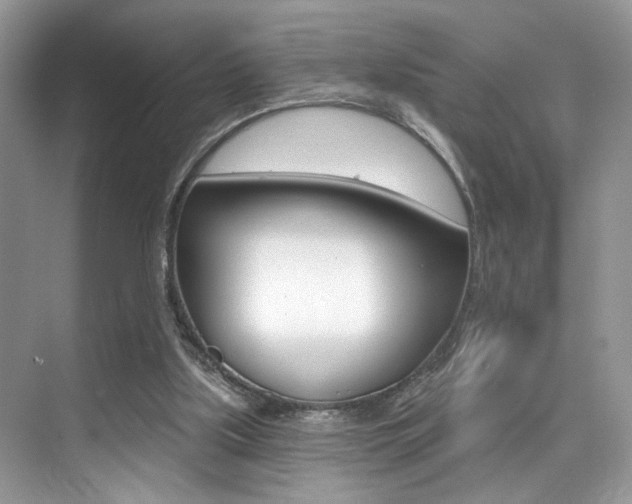 X0000076040059200609220929