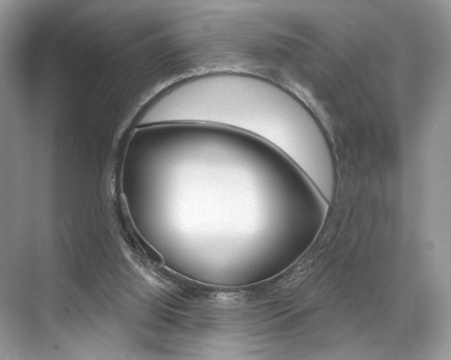X0000076040060200609220929