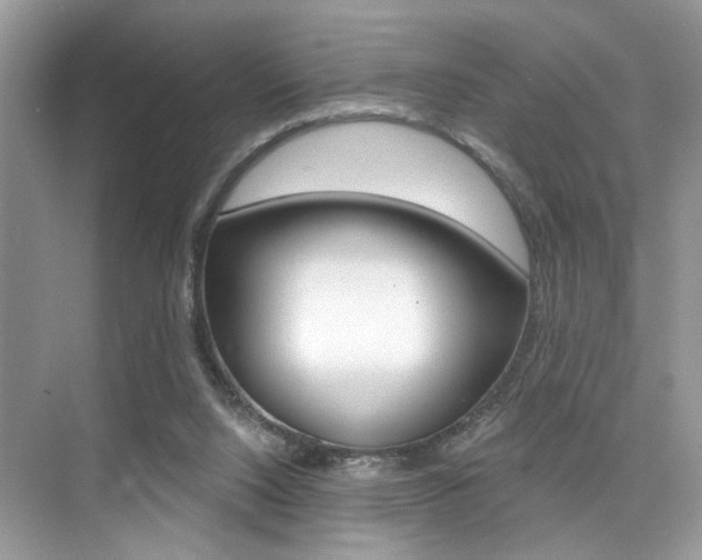 X0000076040064200609220929