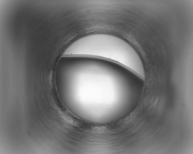 X0000076040066200609220929