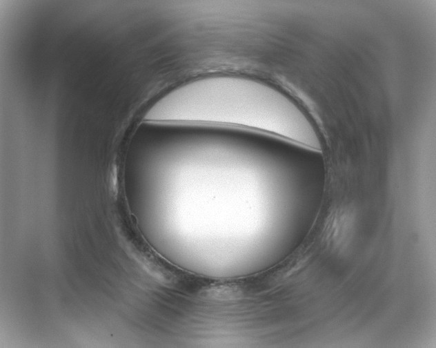 X0000076040067200609220929