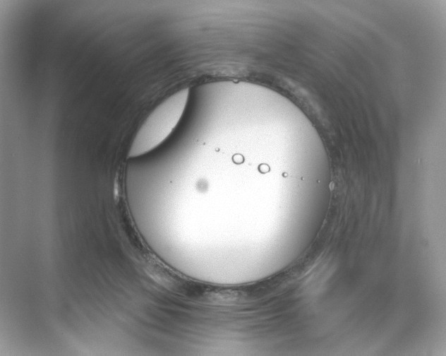 X0000076040069200609220929