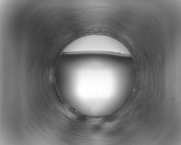 X0000076040081200609220929