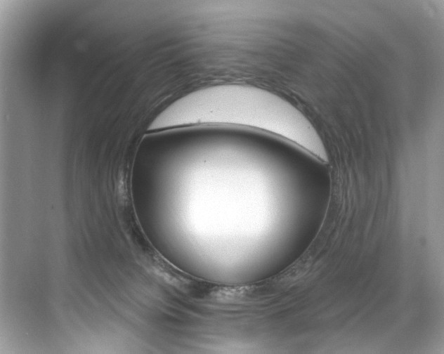 X0000076040084200609220929