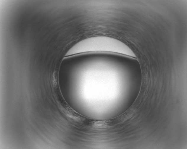 X0000076040088200609220929