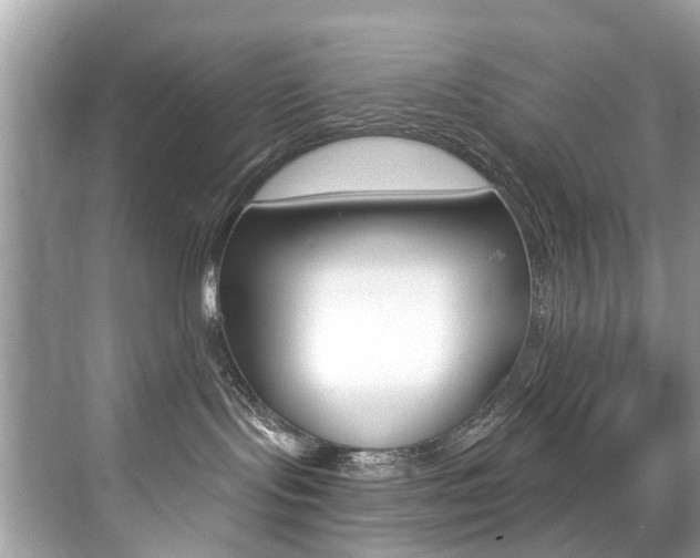 X0000076040095200609220930