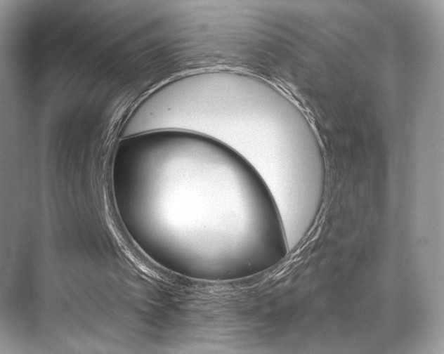 X0000076040097200609220929