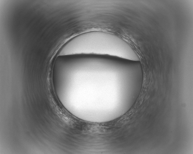 X0000076040098200609220929