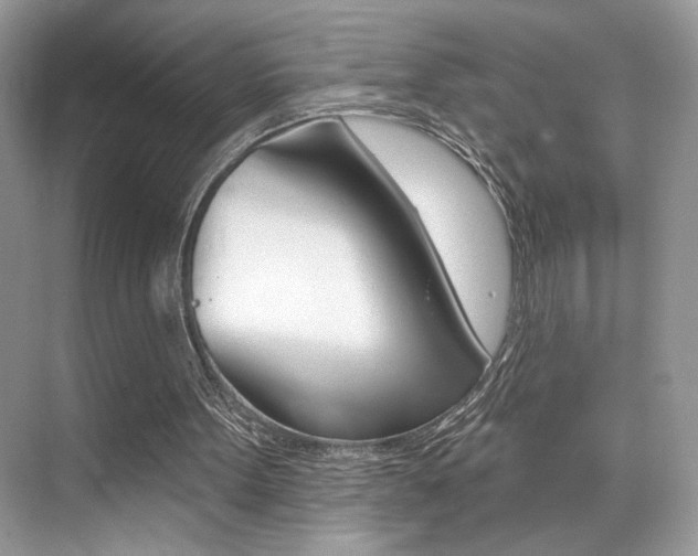 X0000076040099200609220929