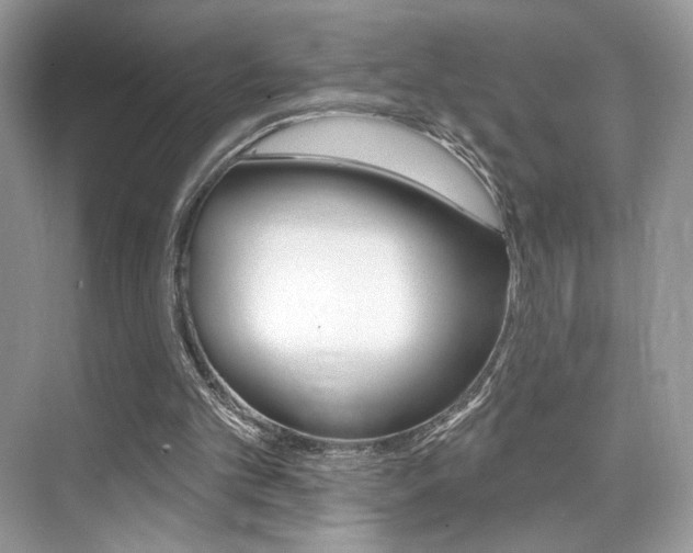 X0000076040101200609220929
