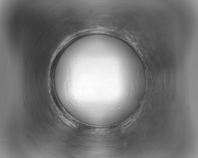 X0000076040102200609220929