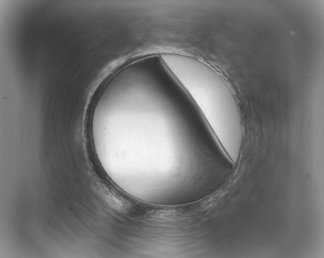 X0000076040104200609220929