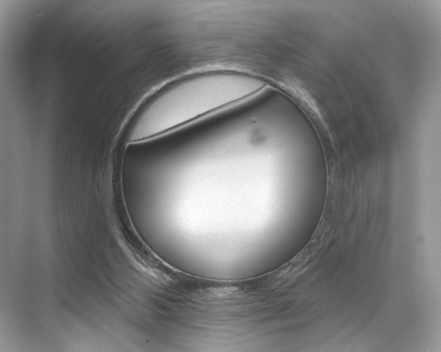 X0000076040108200609220929