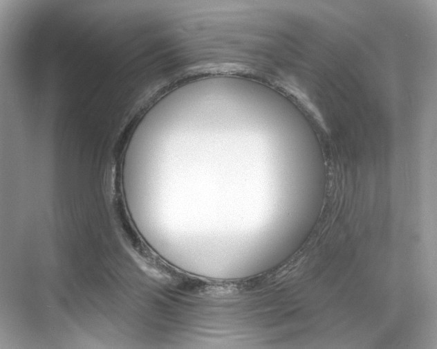 X0000076040110200609220929