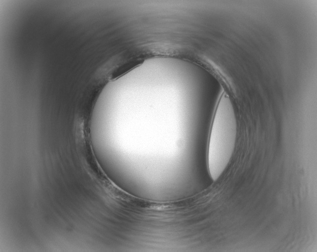X0000076040117200609220928