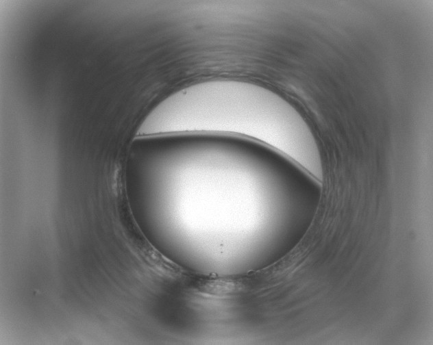 X0000076040123200609220928