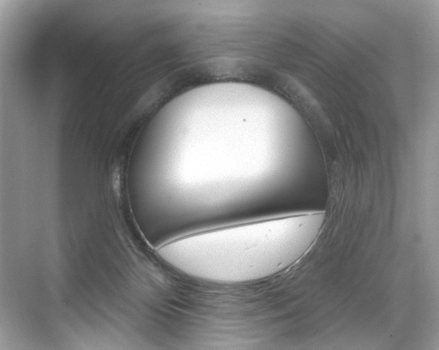 X0000076040124200609220928