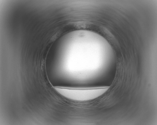 X0000076040125200609220928