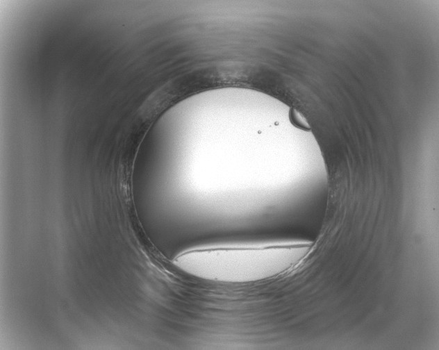 X0000076040140200609220928