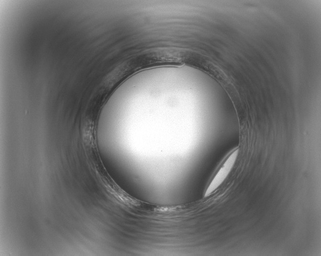 X0000076040141200609220928