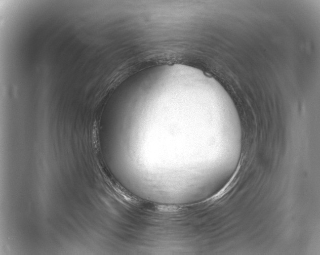 X0000076040144200609220928