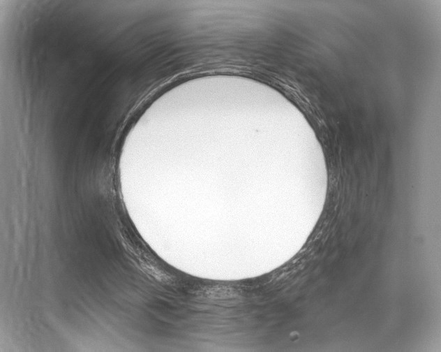 X0000076040146200609220927