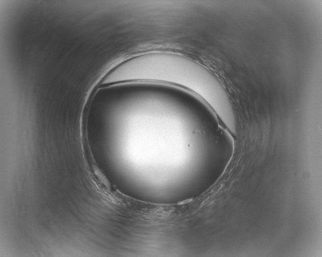 X0000076040148200609220927